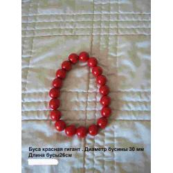 Буса "Гігант"